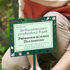 Мария Позднякова, Санкт-Петербург