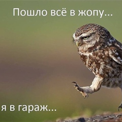 Денис Неверов, 38 лет, Alofi