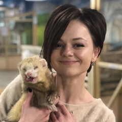 Анна Литвинец, 36 лет, Минск