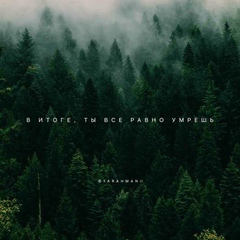 Джамбулат Селимханов