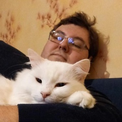 Илья Князев, 36 лет, Орёл