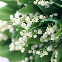 Рита Зайдиева, 34 года, Москва