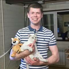 Александр Ярославцев, 39 лет, Нижний Новгород