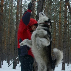 Павел Павлов