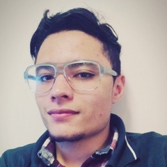 Michel Von-Richthofen, 29 лет, São Paulo