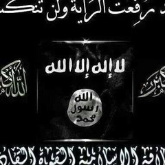 محمود المصري, 36 лет