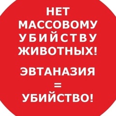 Оксана Олюнина, Санкт-Петербург