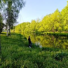 Svetlana Emelyanova