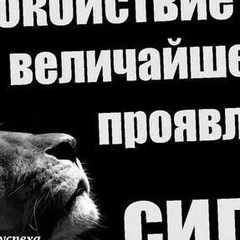 Бексултан Бекташов, Бишкек