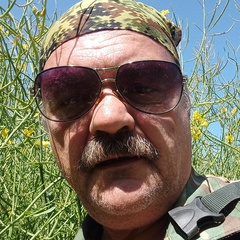 Виталий Серпицкий, 58 лет, Витебск