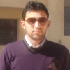 Mohamed Alanany, 36 лет, Alexandria