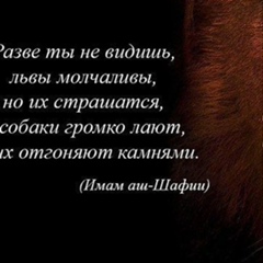 А..... М...., 33 года, Нальчик
