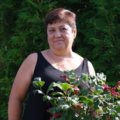 Татьяна Шашлова, 57 лет, Клин