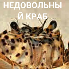 Влад Самохин