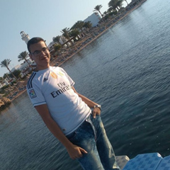 Hossam Mohamed, 38 лет, Hurghada