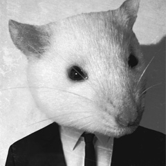 John Dou