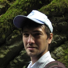 Никитаев Александр, 37 лет, Москва