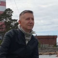 Алексей Лебедев, 43 года, Санкт-Петербург