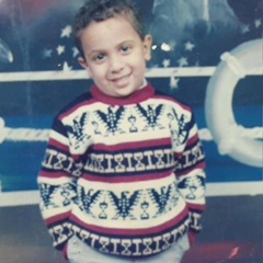Ahmed El-Shahat, 32 года, Cairo