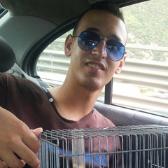 Walid Ayman, 34 года, Skikda
