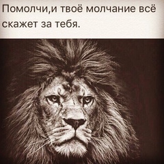 Саид Мухадинов, 24 года, Толстой-Юрт