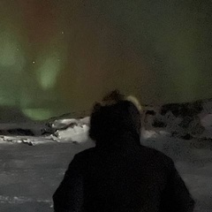 Александр Огнев, 36 лет, Москва