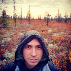 Максим Ринк, 33 года, Армавир