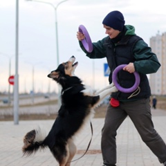 Andrey Losev, 35 лет, Витебск