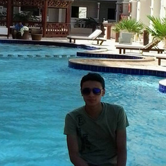Ahmed Elsokary, 29 лет, Cairo