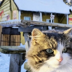 Олеся Леся, Томск