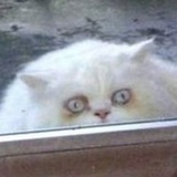 Константин Дробный, 38 лет, Кривой Рог