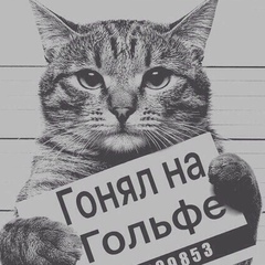 Вадим Белка, 42 года, Санкт-Петербург