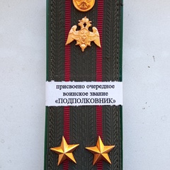 Ярослав Козлов, 37 лет, Санкт-Петербург