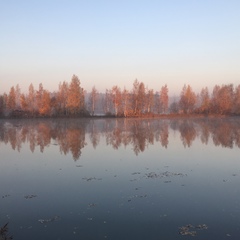 Серёга Малило
