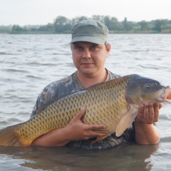 Александр Шелепун, 38 лет, Одесса