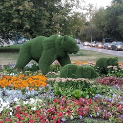 Антон Аморалес, Москва