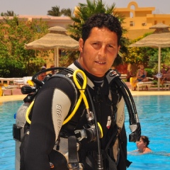 Adel Elgohary, 37 лет, Sharm el-Sheikh