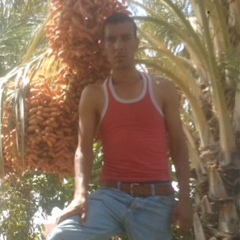 Rida Rida, 43 года, Biskra