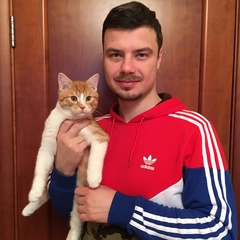 Александр Корнеев, 36 лет, Москва