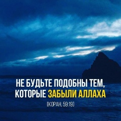 Далер Шарапов, Душанбе