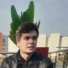 Дмитрий Король, 31 год