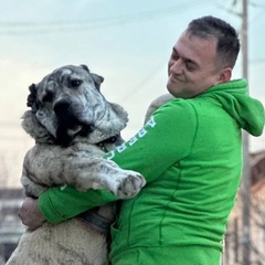 Руслан Мустафаев, 43 года, Москва