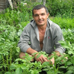 Mukbil Kosimov, 49 лет, Новосибирск