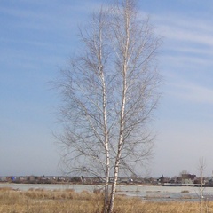 Егор Макаров, Lappeenranta