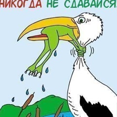 Анатолий Дубовой, 52 года, Днепр (Днепропетровск)