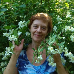 Галина Антонова, 67 лет