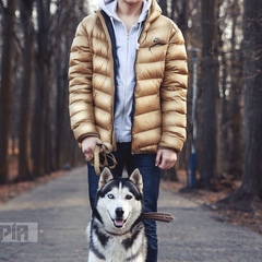 Maksim Gutzuliak, 28 лет, Черновцы