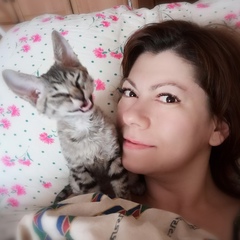 Дарья Харитонова, 43 года, Королёв