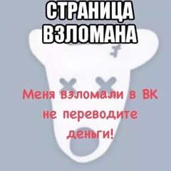 Юлия Елизарова, Вологда