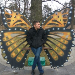 Андрей Михеев, 36 лет, Москва